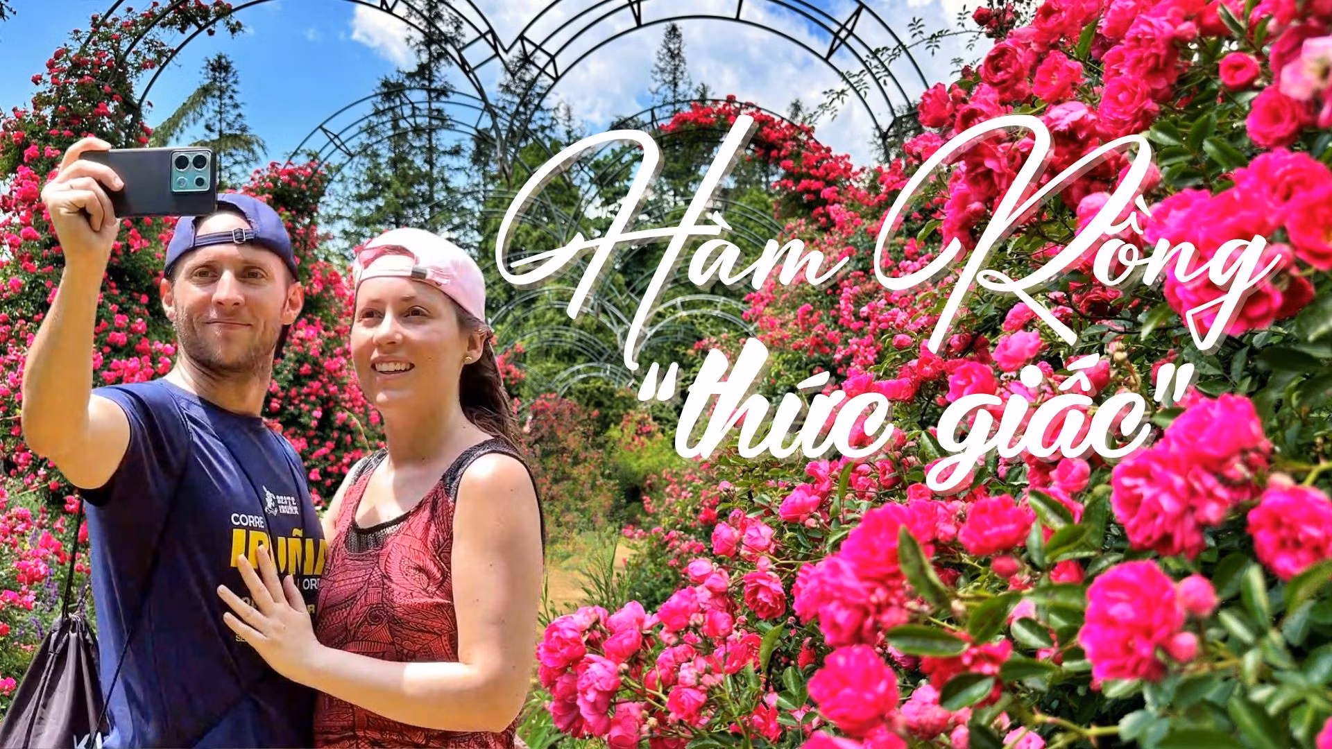 Hàm Rồng “thức giấc”