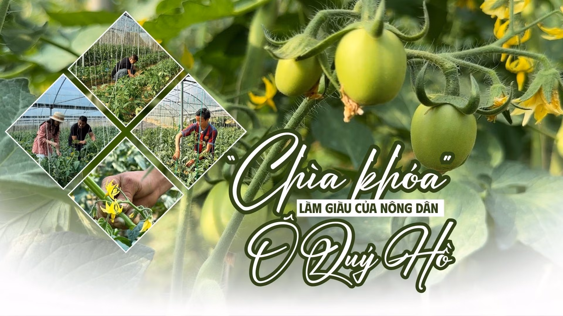 “Chìa khóa” làm giàu của nông dân Ô Quý Hồ