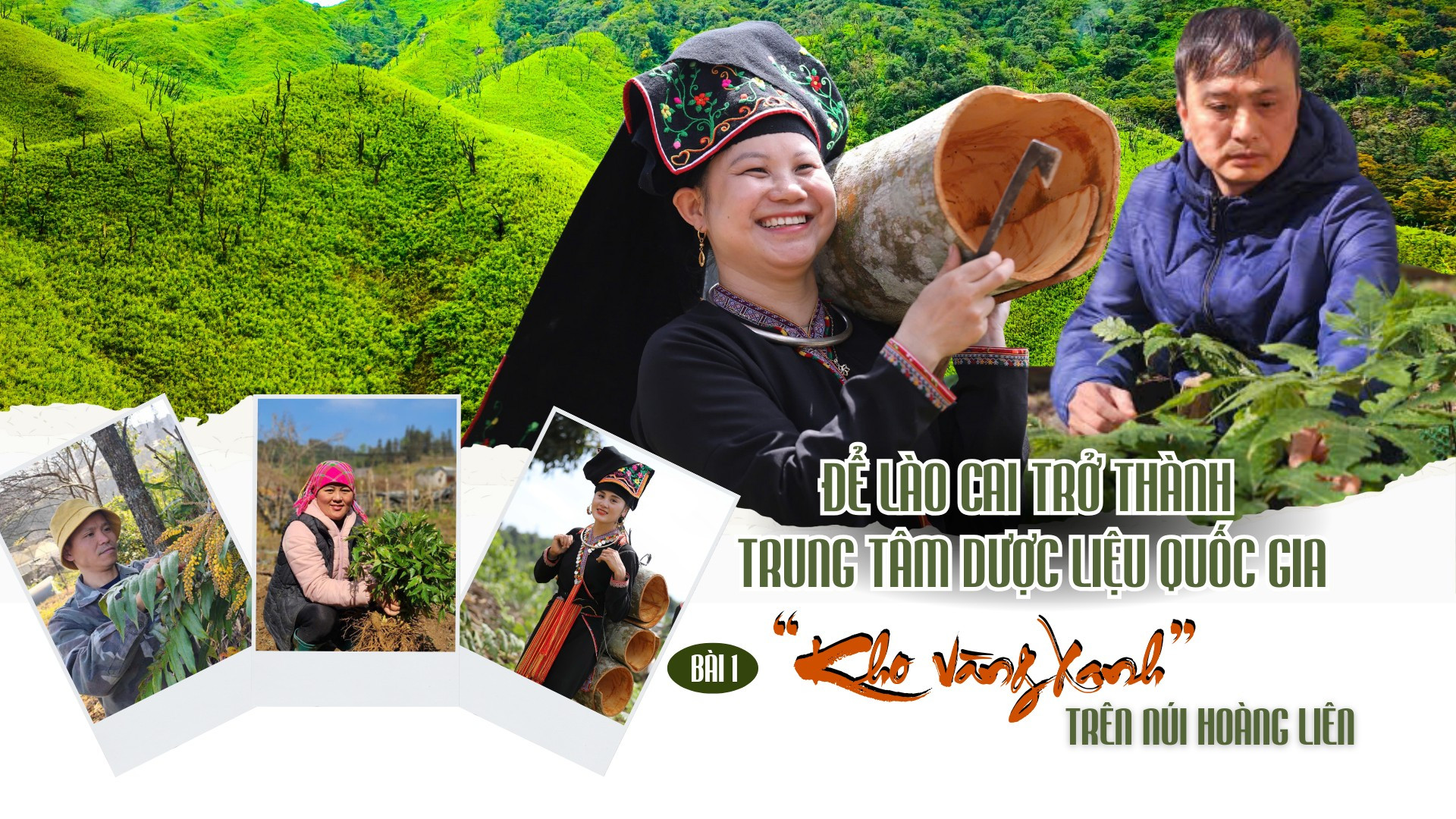 Bài 1: “Kho vàng xanh” trên núi Hoàng Liên