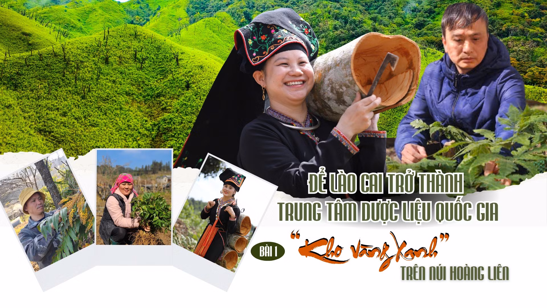 Bài 1: “Kho vàng xanh” trên núi Hoàng Liên