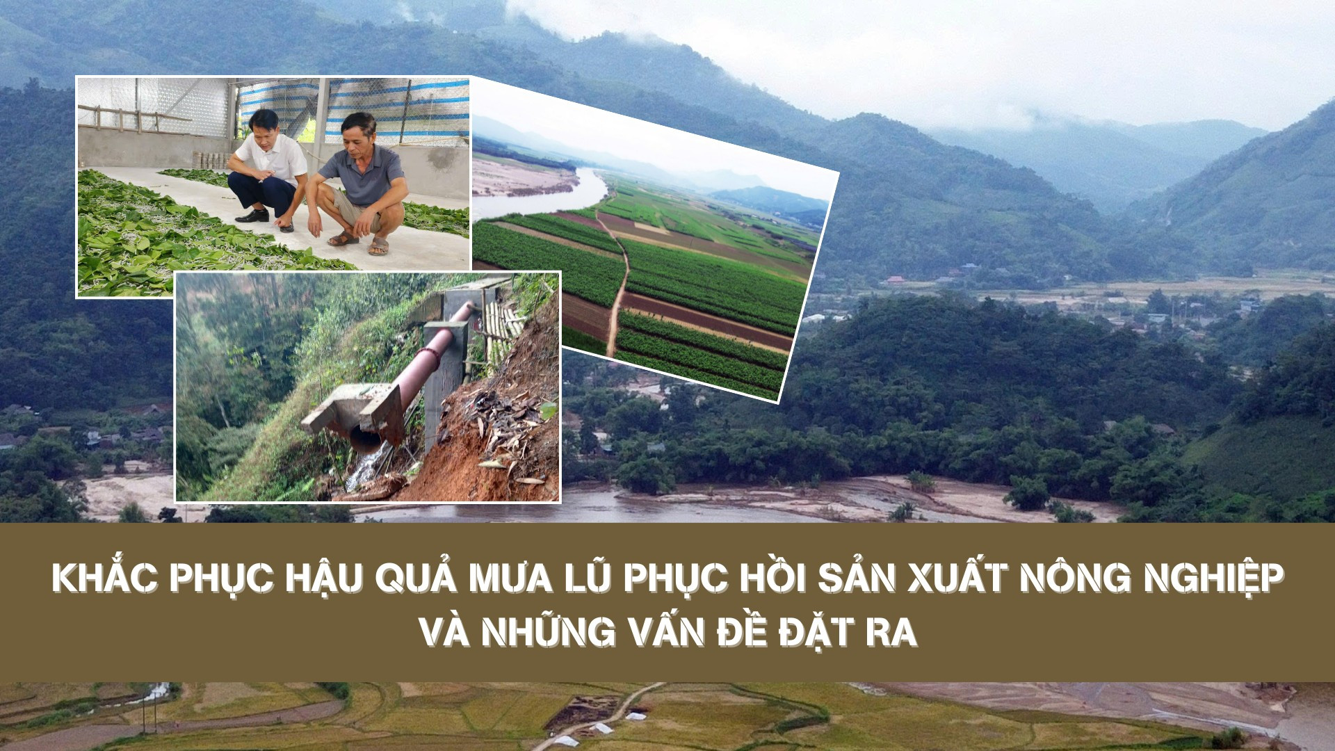 Khắc phục hậu quả mưa lũ phục hồi sản xuất nông nghiệp và những vấn đề đặt ra