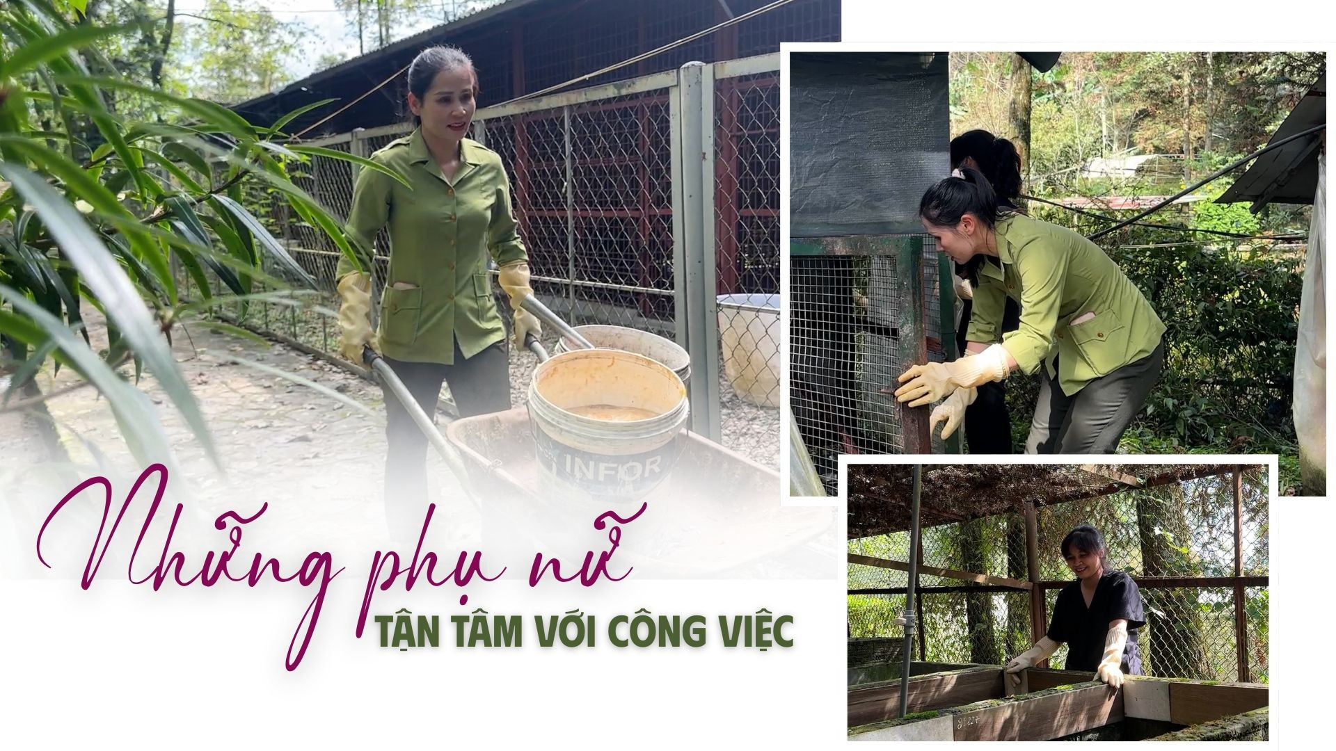Những phụ nữ tận tâm với công việc