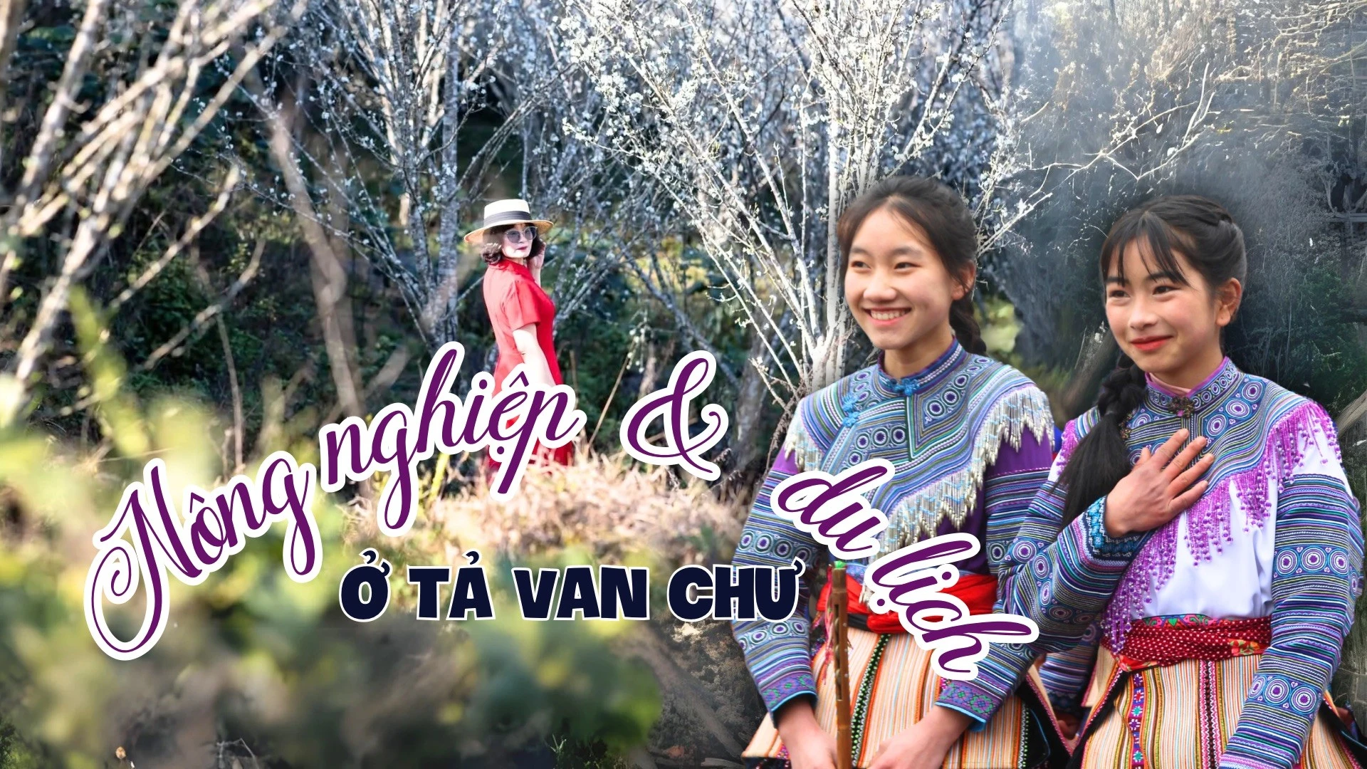 Nông nghiệp kết hợp du lịch ở Tả Van Chư