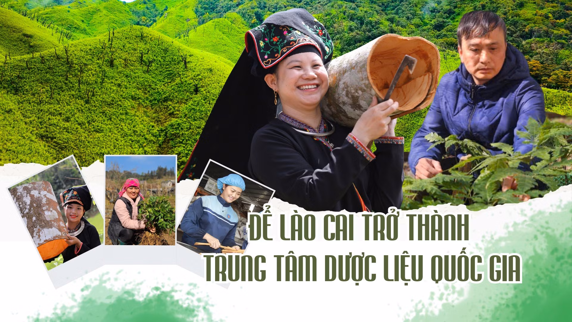 Để Lào Cai trở thành trung tâm dược liệu quốc gia