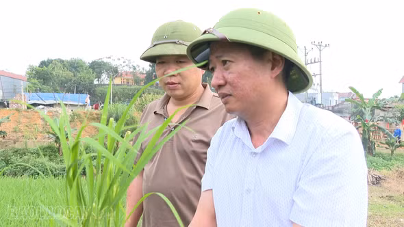Phát huy vai trò nêu gương trong cán bộ, đảng viên