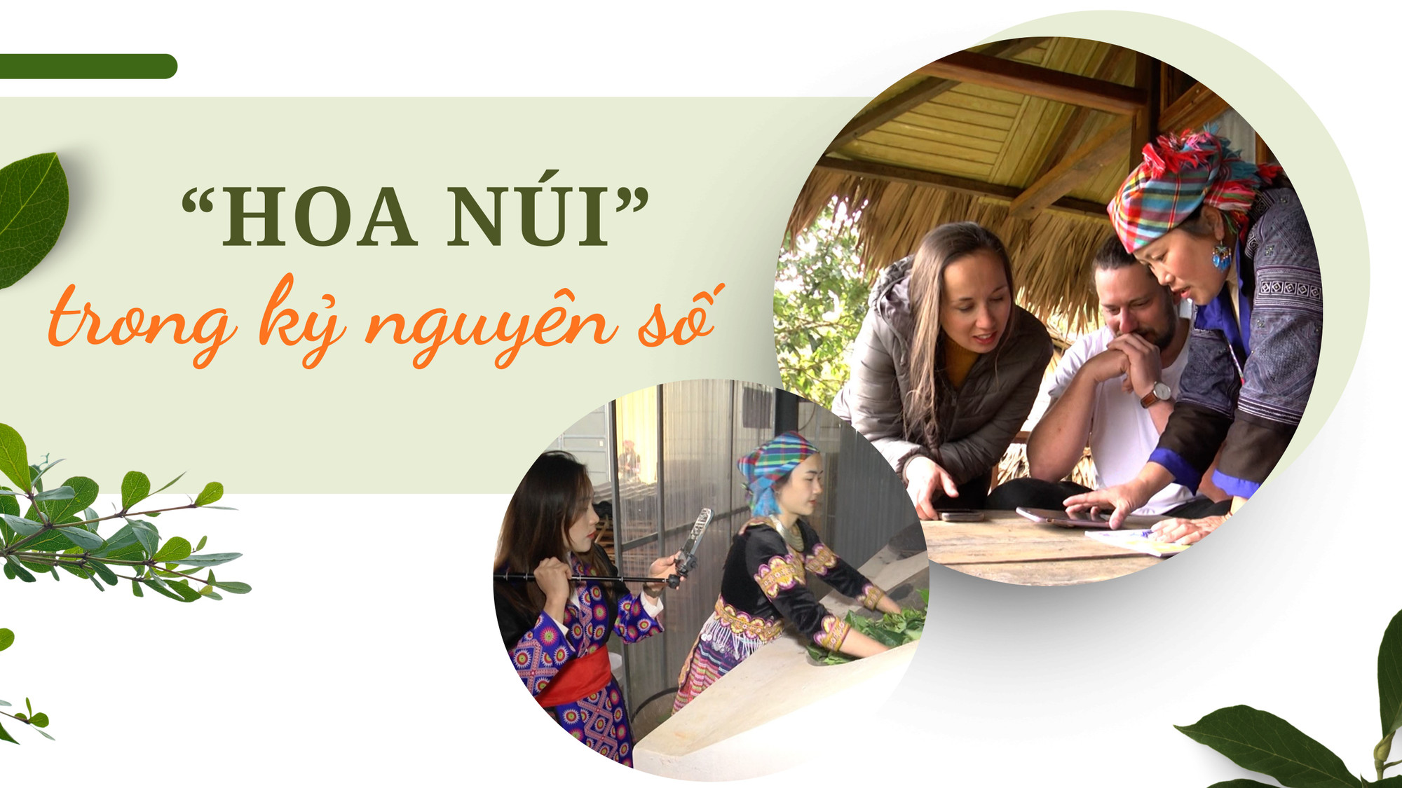  “Hoa núi” trong kỷ nguyên số