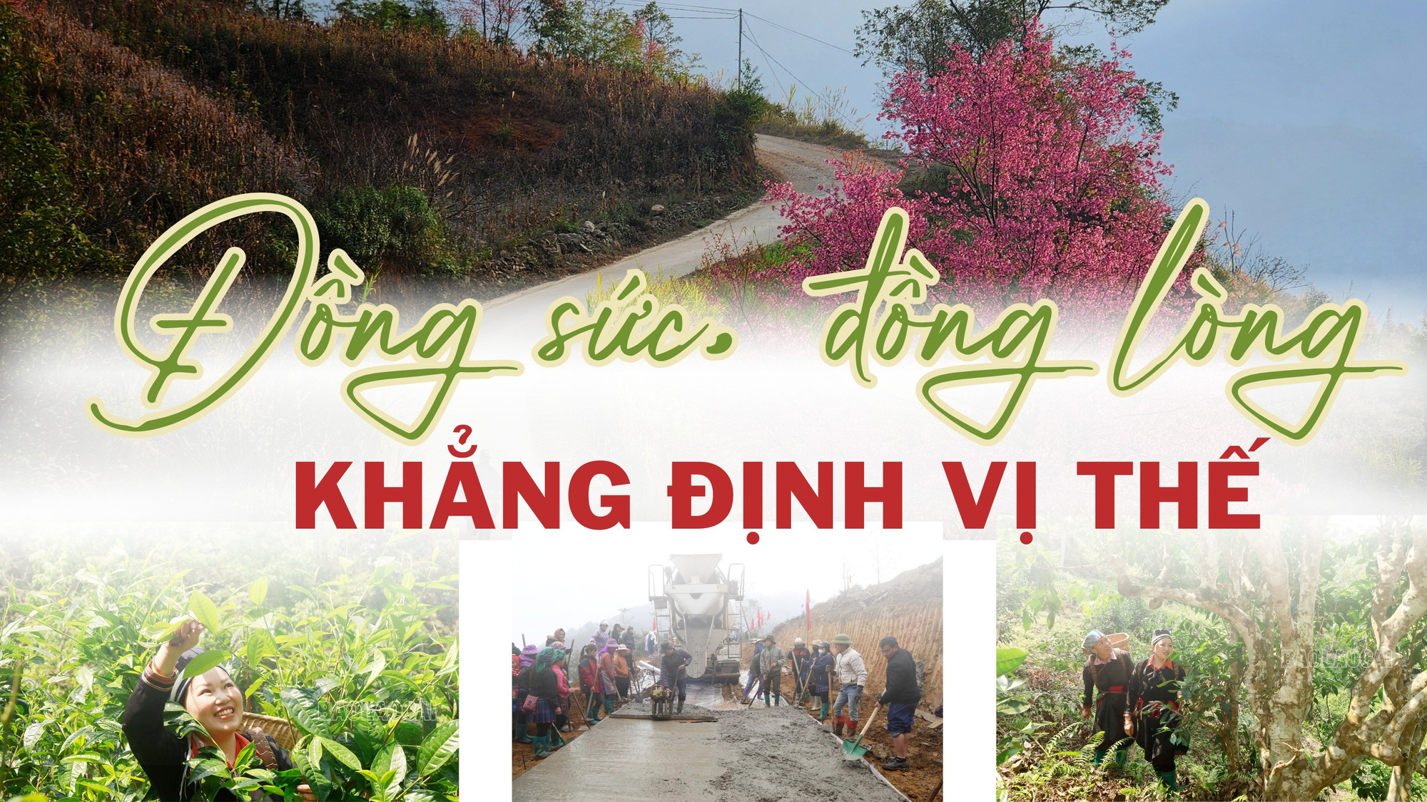 Đồng sức, đồng lòng khẳng định vị thế