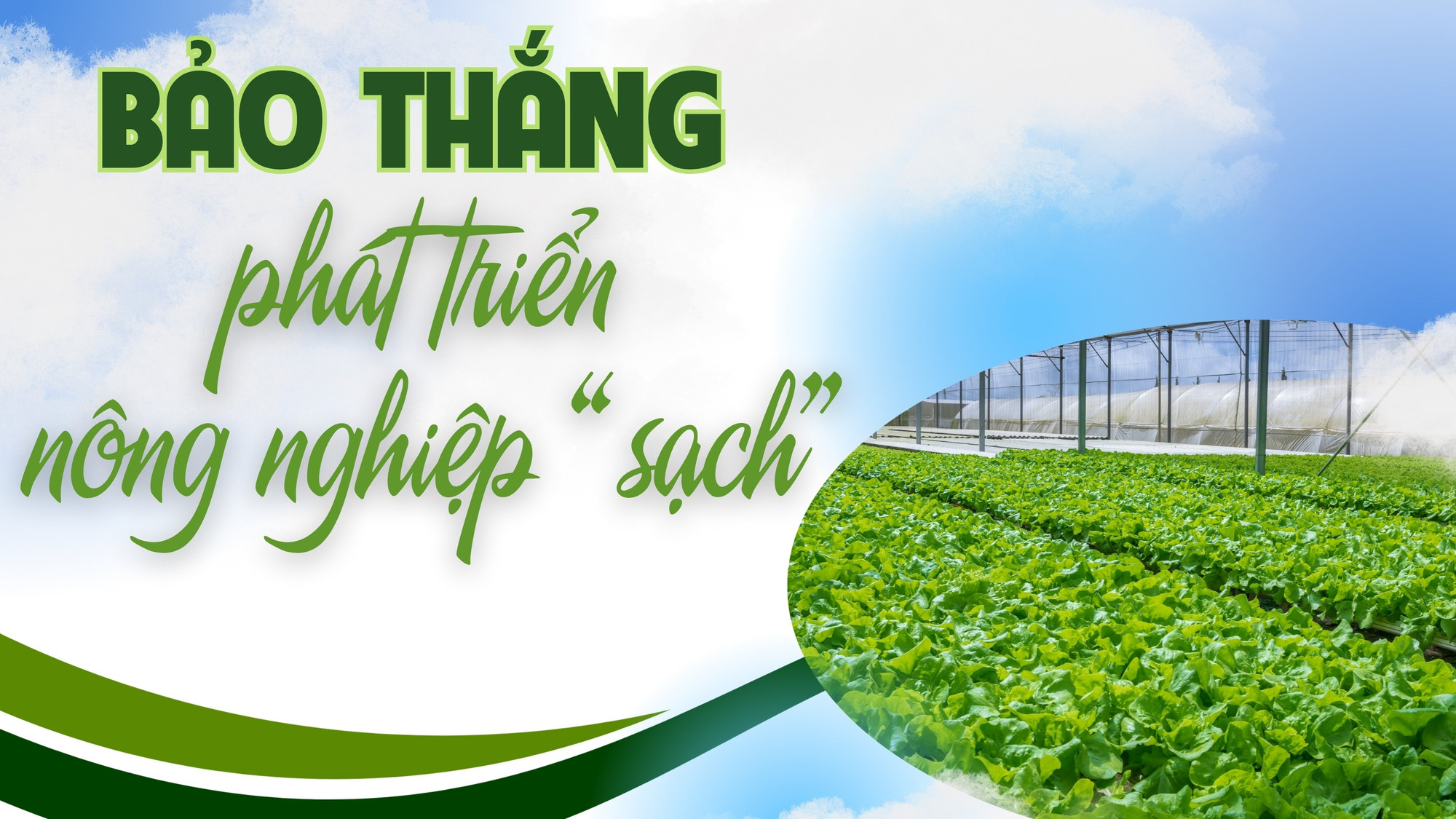 Bảo Thắng phát triển nông nghiệp "sạch"
