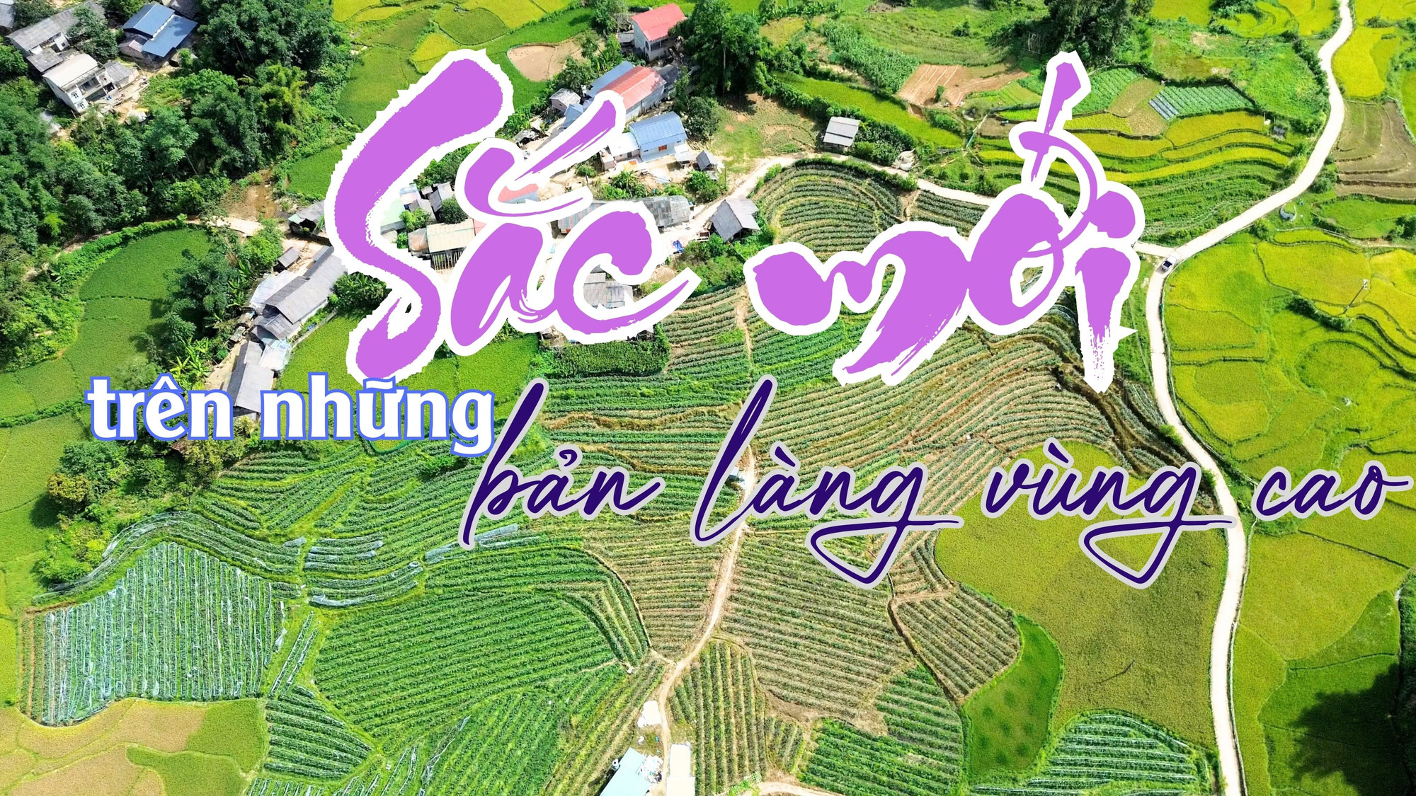 Sắc mới trên những bản làng vùng cao