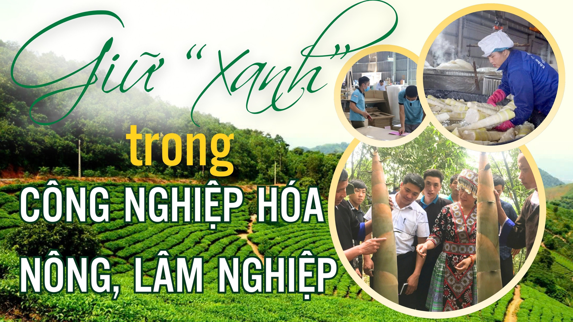 Giữ “xanh” trong công nghiệp hóa nông, lâm nghiệp