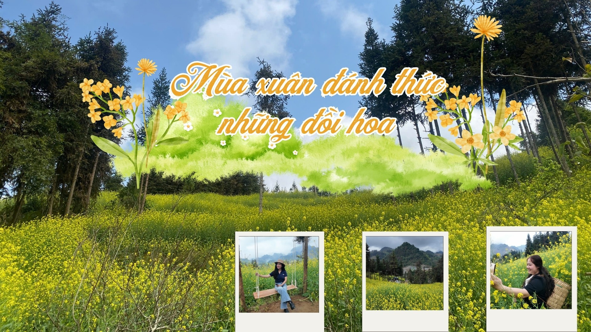 Mùa xuân đánh thức những đồi hoa