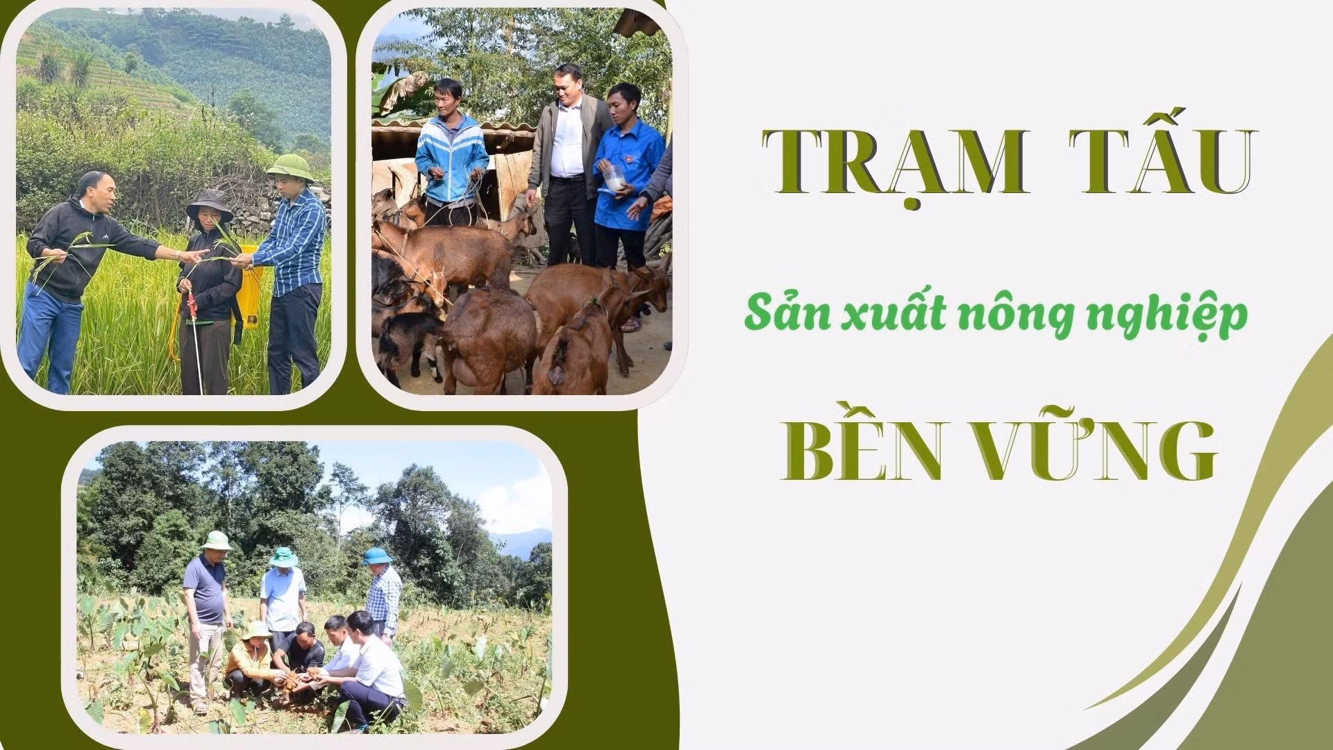 Trạm Tấu sản xuất nông nghiệp bền vững