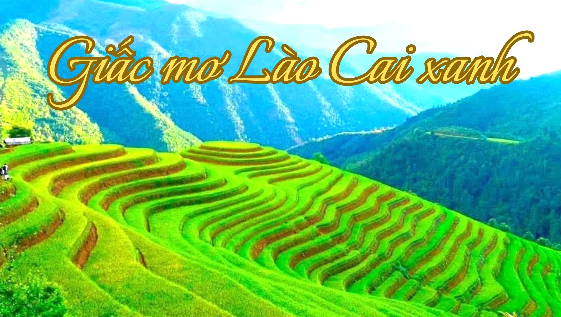Giấc mơ Lào Cai xanh