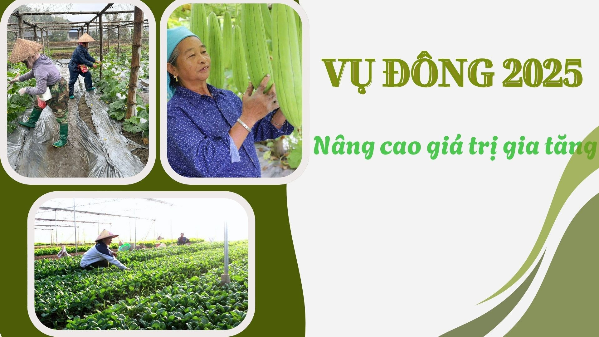 Vụ đông 2025: Nâng cao giá trị gia tăng