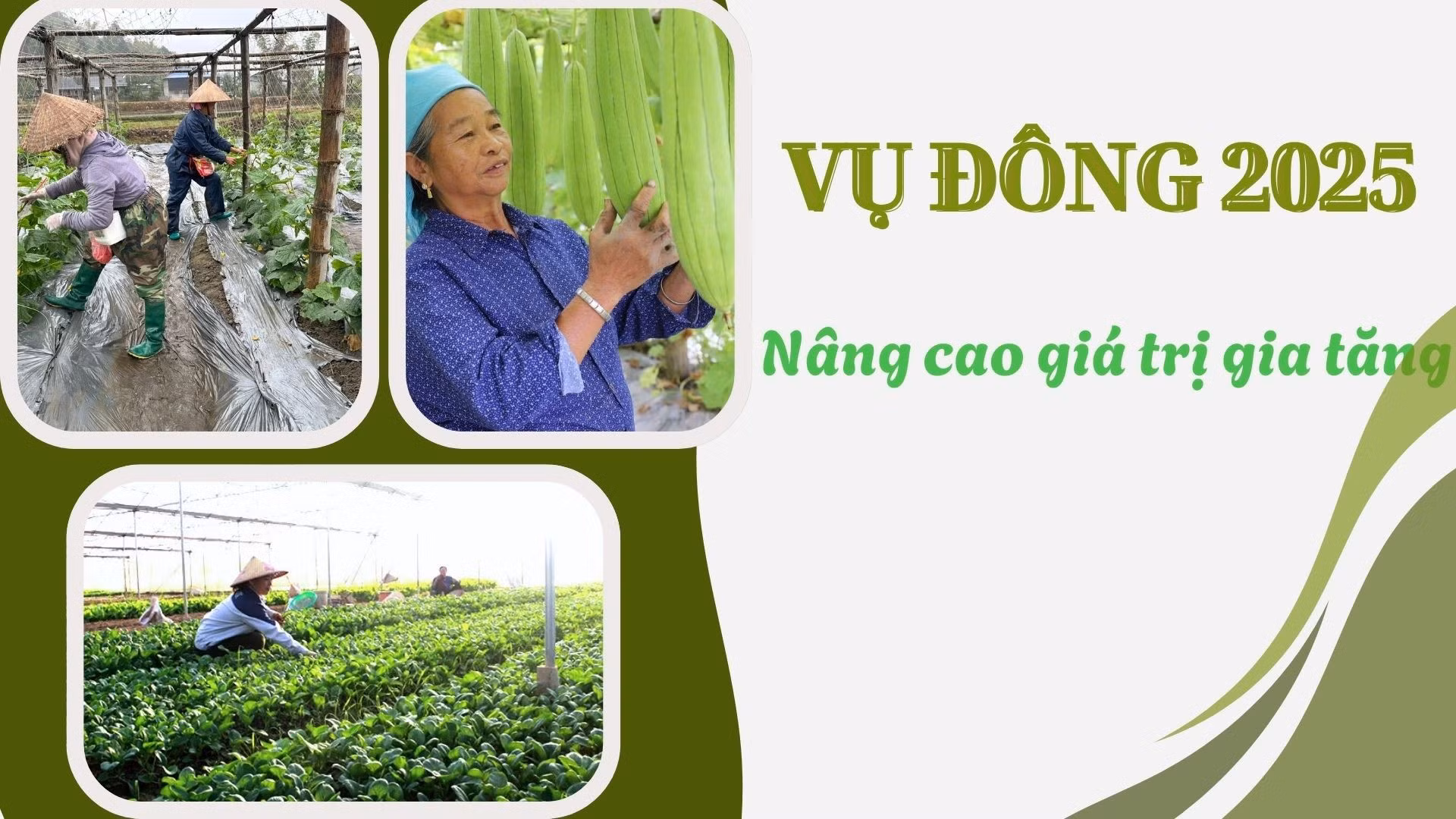Vụ đông 2025: Nâng cao giá trị gia tăng