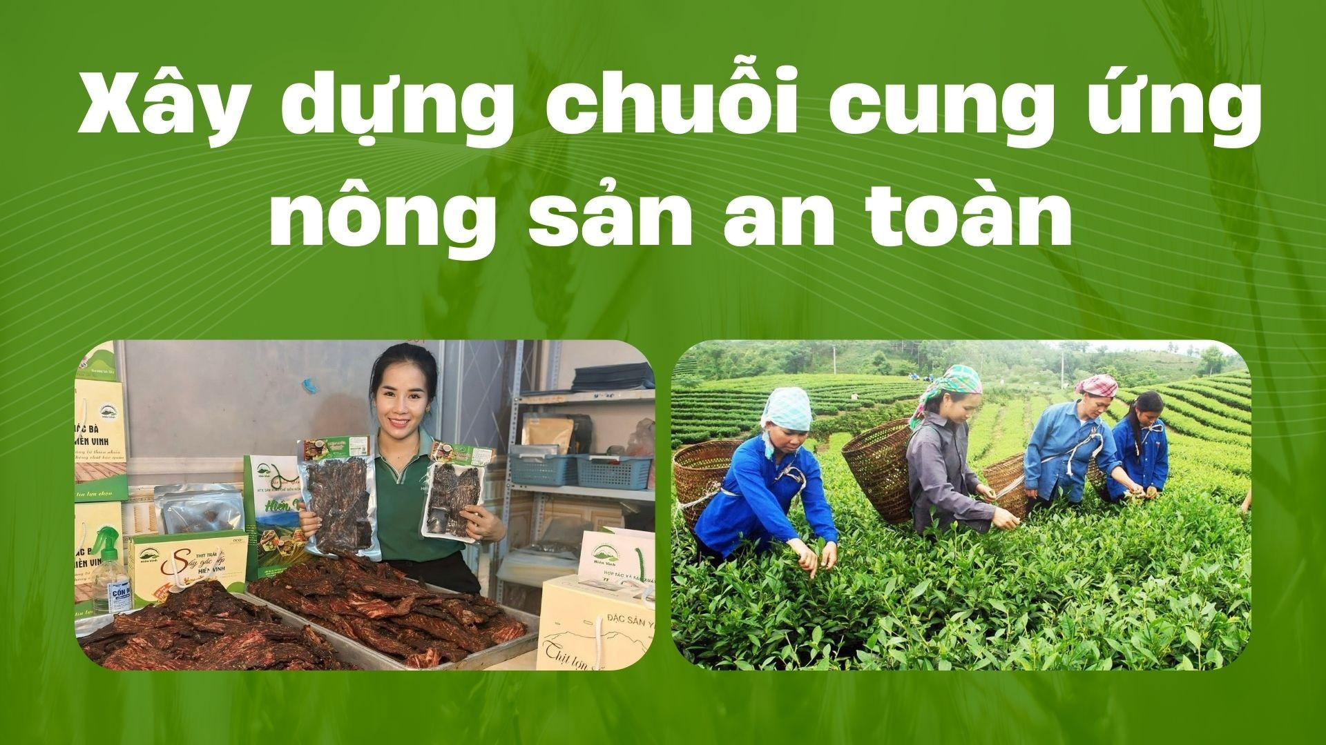 Xây dựng chuỗi cung ứng nông sản an toàn