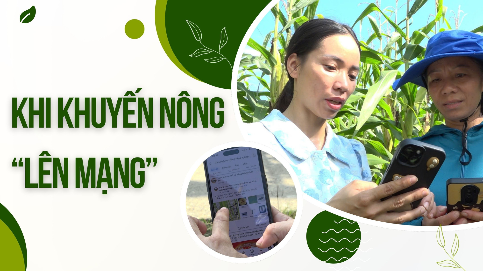 Khi khuyến nông “lên mạng”