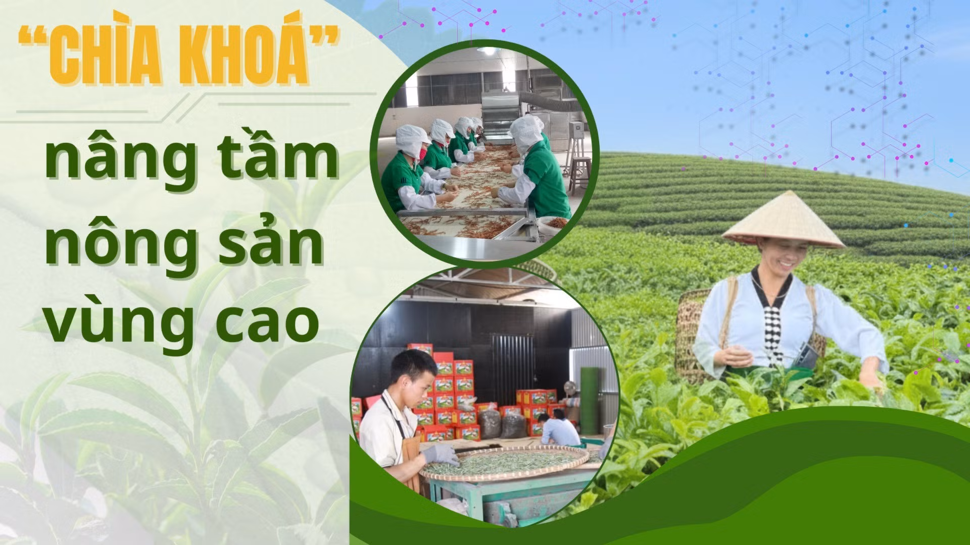 “Chìa khóa" nâng tầm nông sản vùng cao