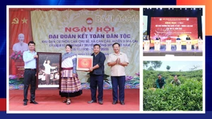 Điểm tin trong tuần từ ngày 6/11 đến 12/11