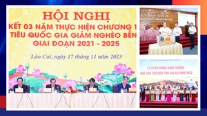 Điểm tin trong tuần từ ngày 13/11 đến 19/11
