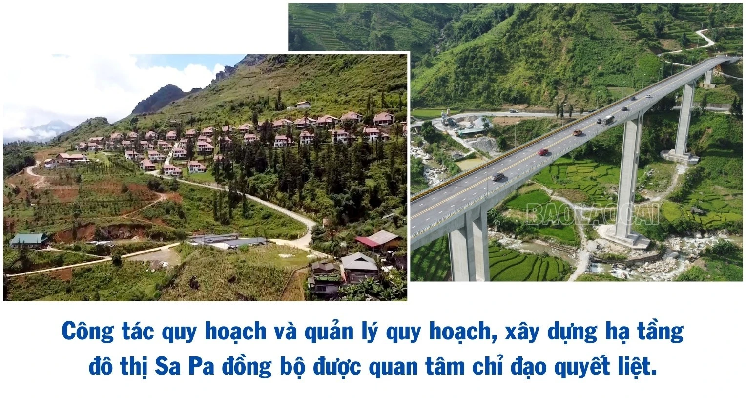 186.jpg