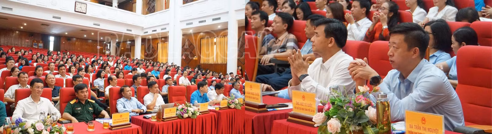 sưef.png
