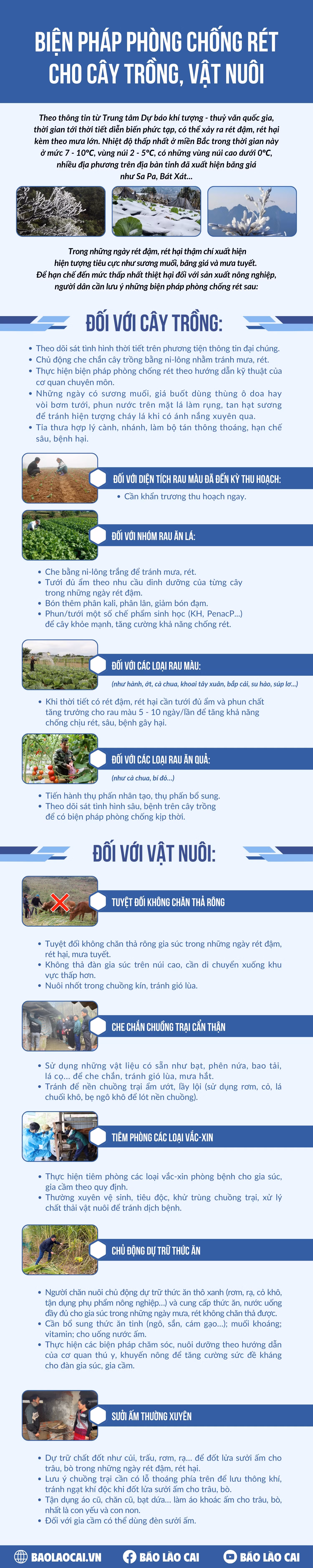 infographic-chong-ret.png
