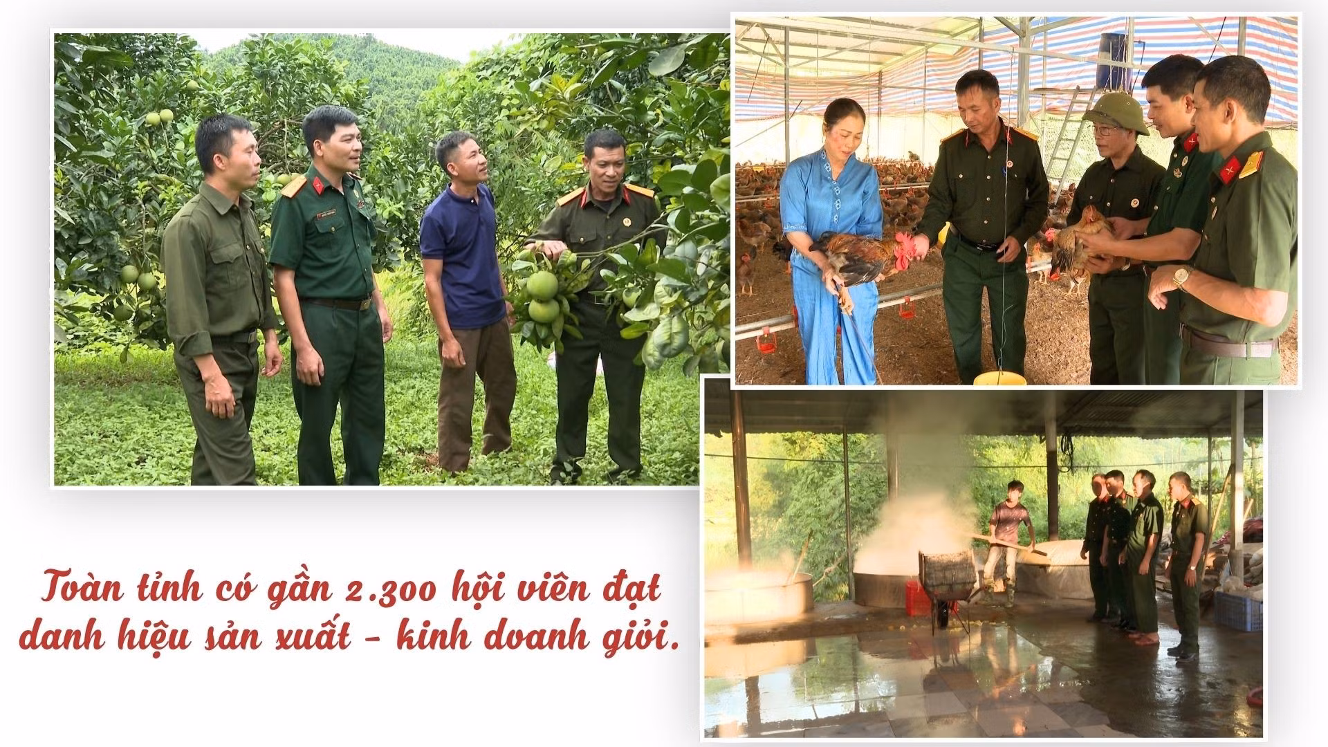 cuu-chien-binh-ha-van-lien-1.jpg