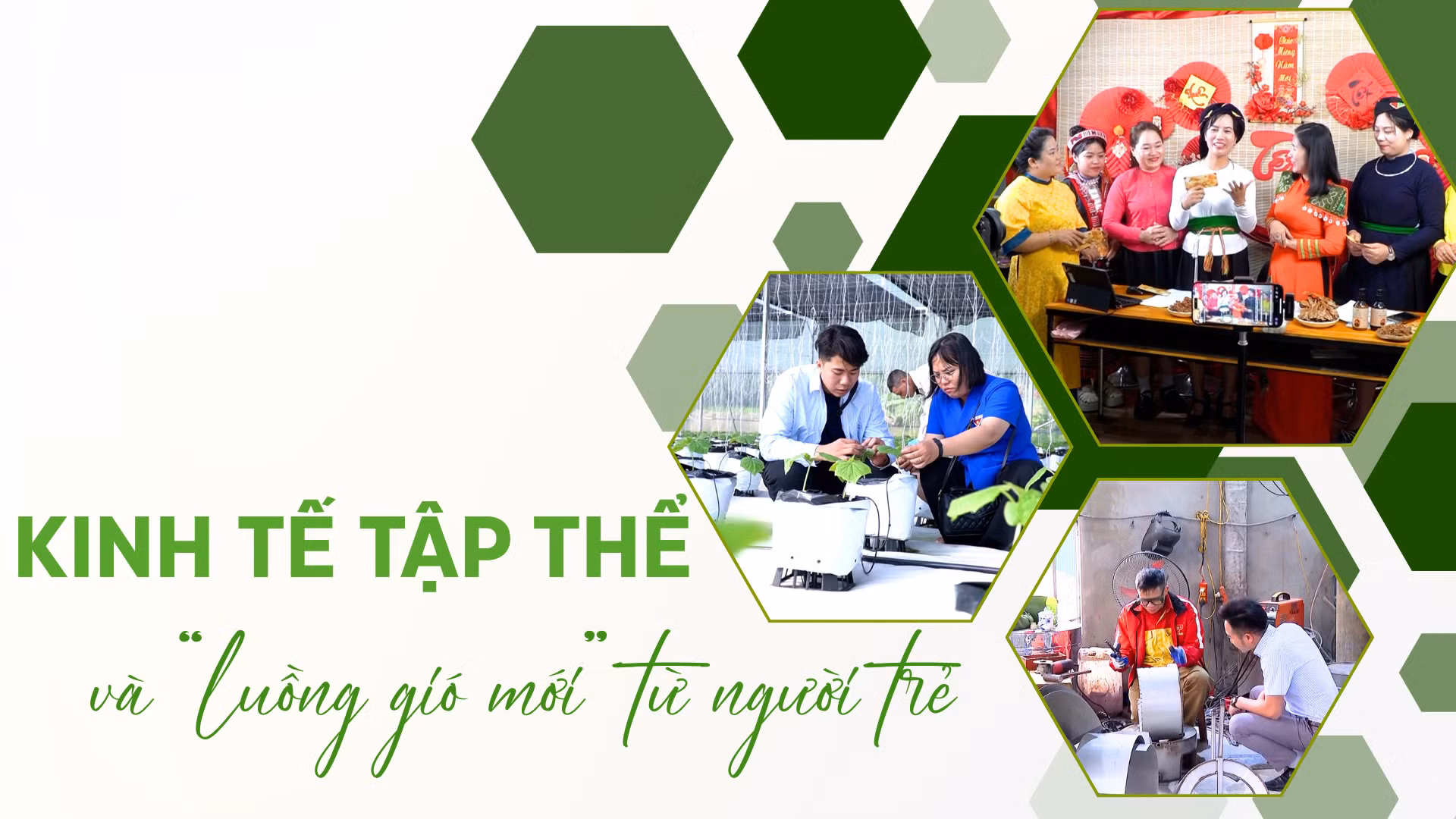 Kinh tế tập thể và “luồng gió mới” từ người trẻ