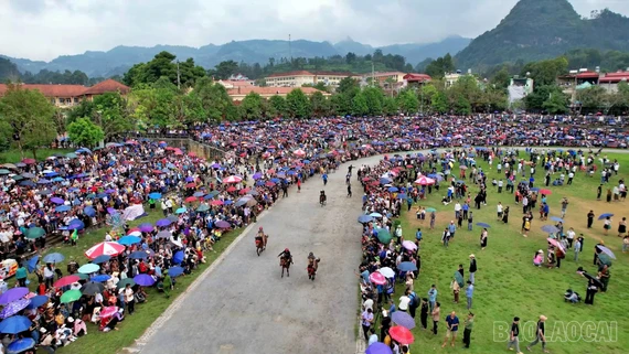 Hơn 20.000 lượt du khách tham dự Festival Cao nguyên trắng Bắc Hà 2025