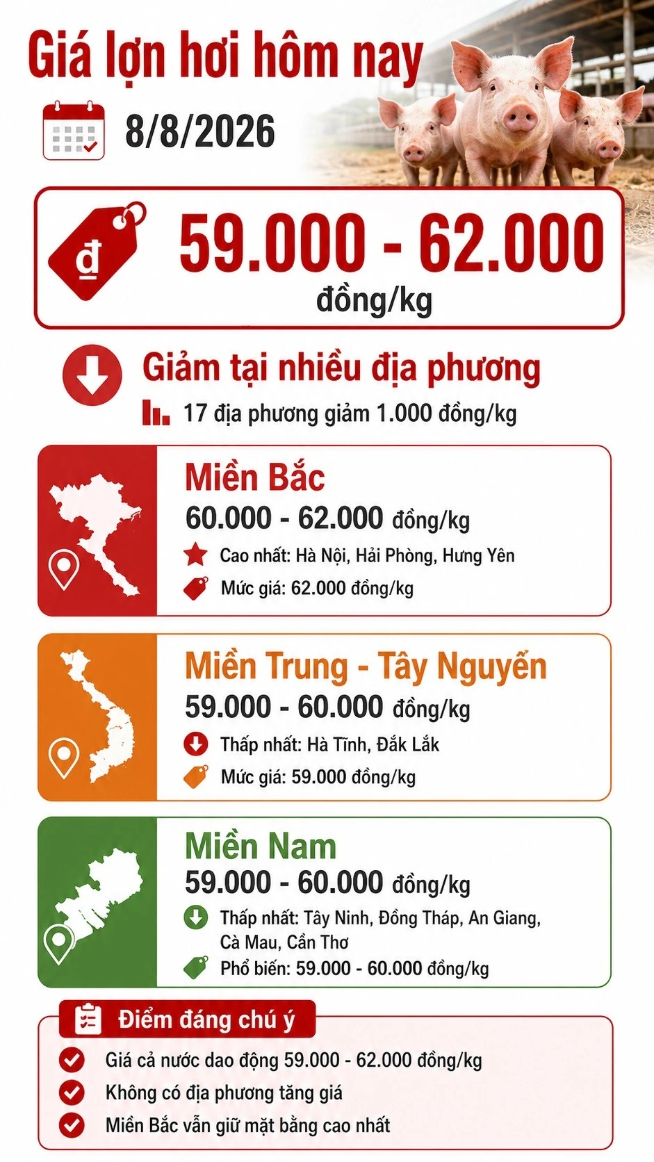 gia-heo-hoi-hom-nay-8-8-2026-4749.jpg