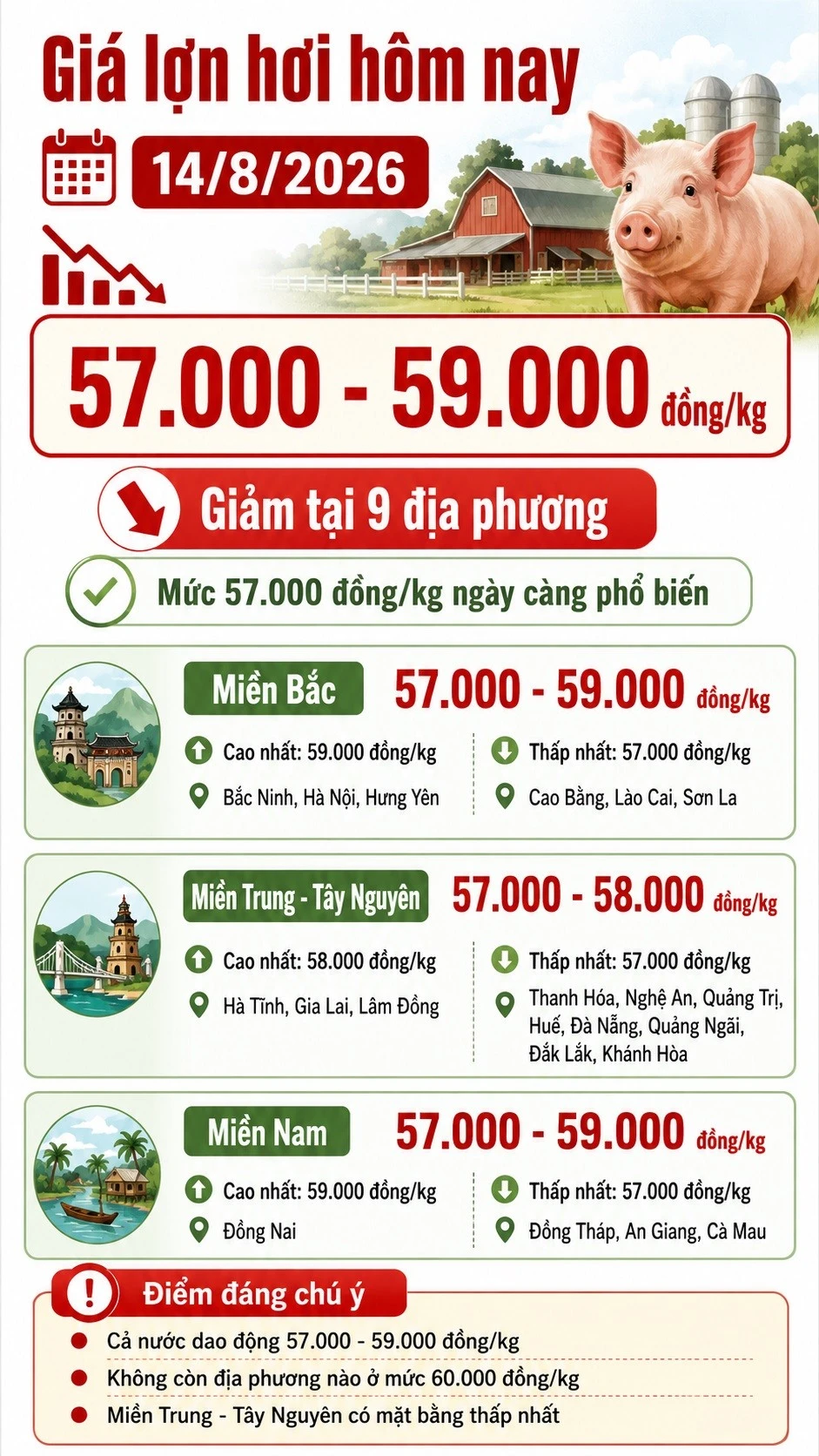 gia-heo-hoi-hom-nay-14-8-2026-7335.jpg