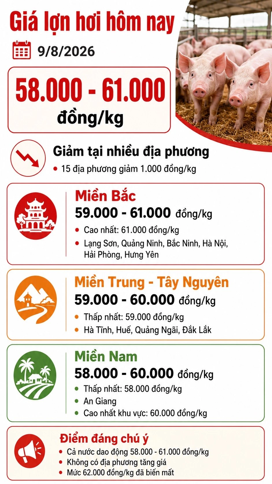 gia-heo-hoi-hom-nay-9-8.jpg