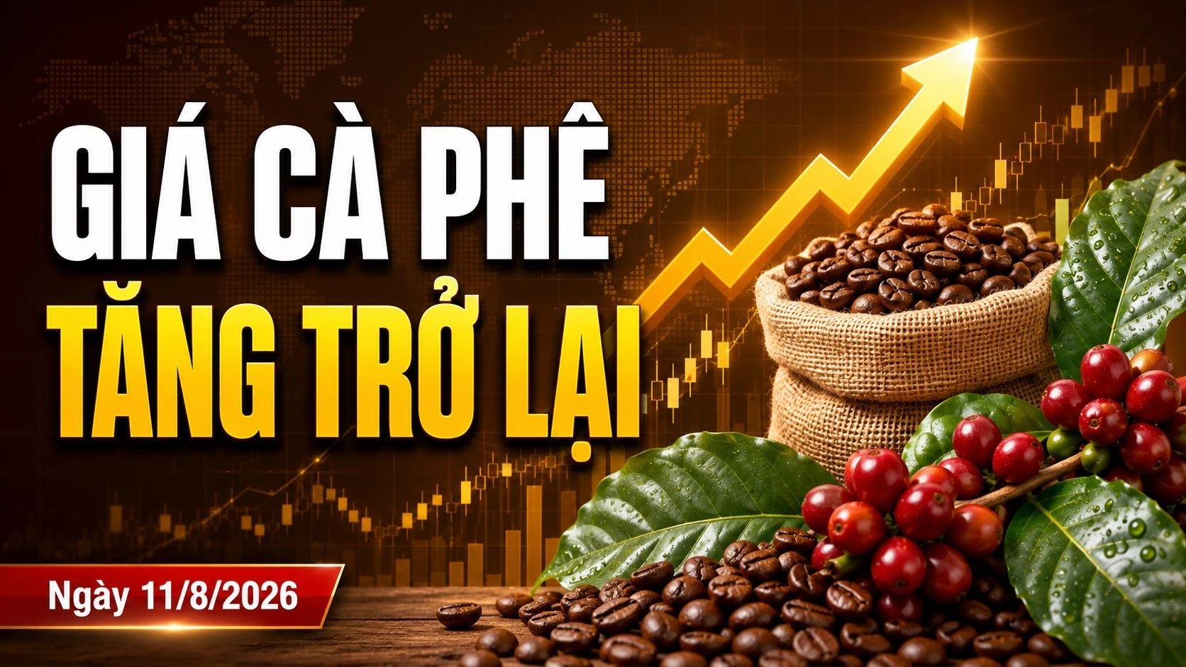gia-ca-phe-hom-nay-11-8-2026.jpg