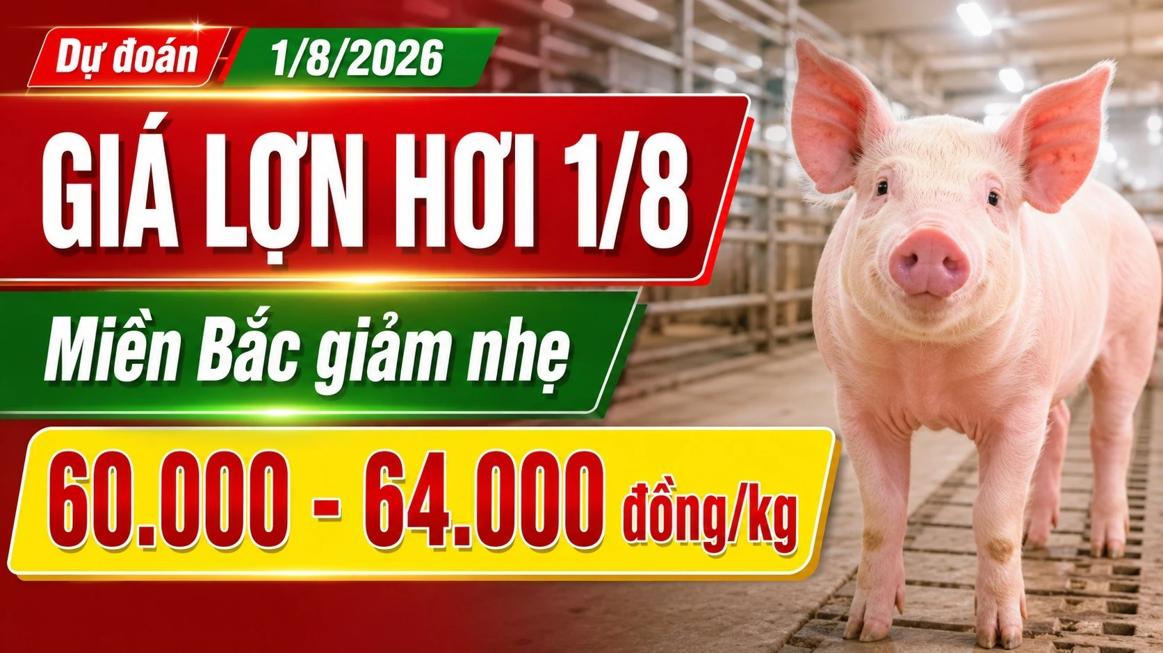 gia-heo-hoi-hom-nay-1-8-2026-8162.jpg