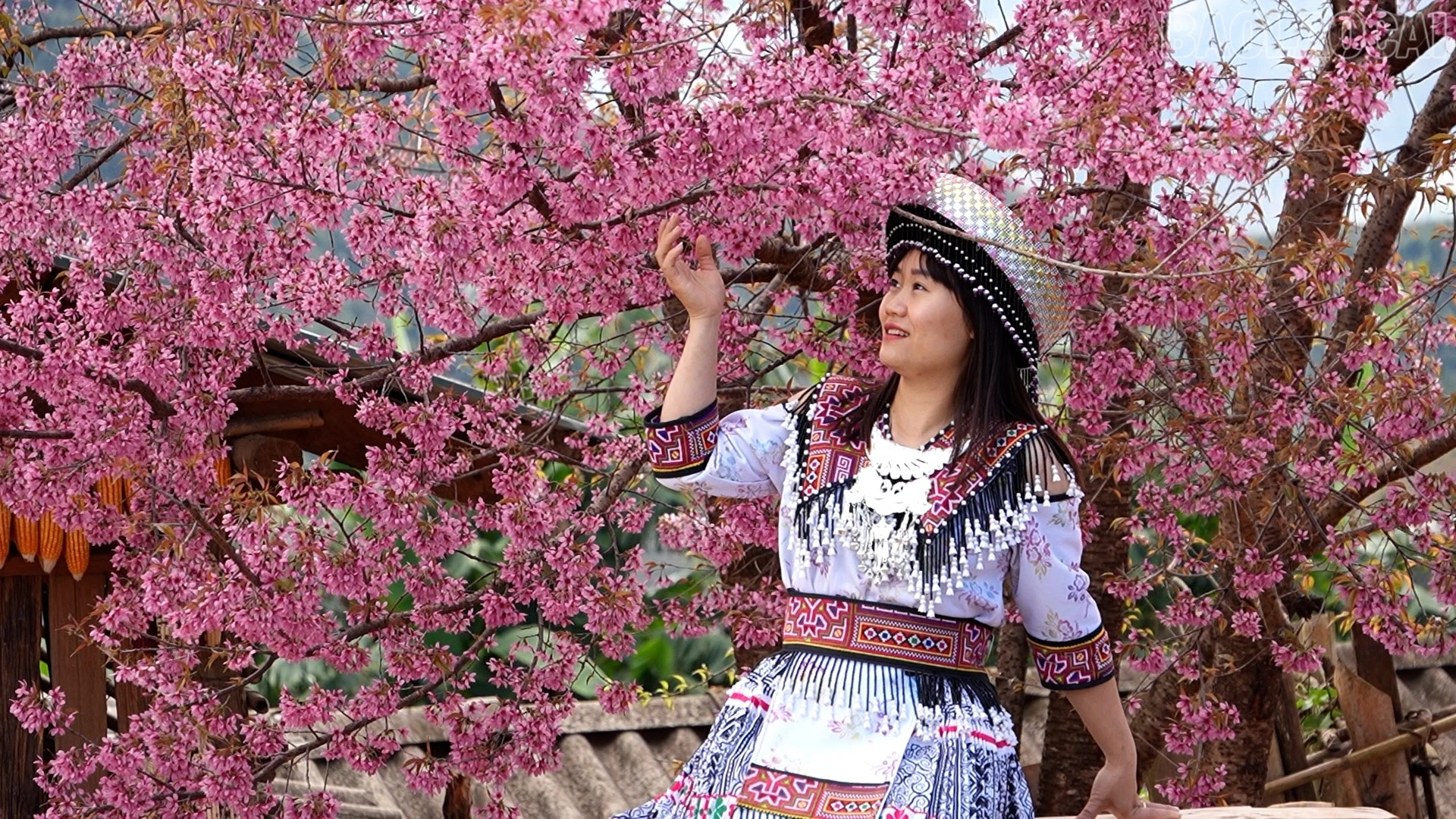 baolaocai-tr_mua-hoa-dau-tien.jpg