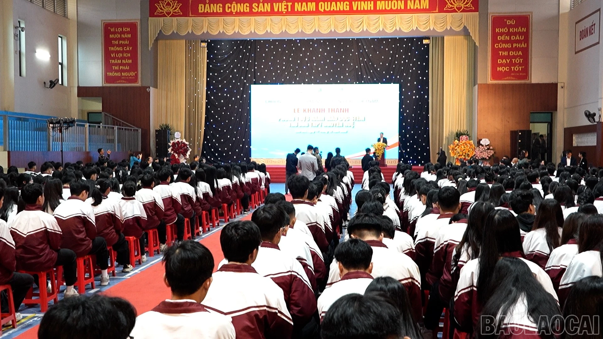 baolaocai-br_nguyen-tuan.jpg
