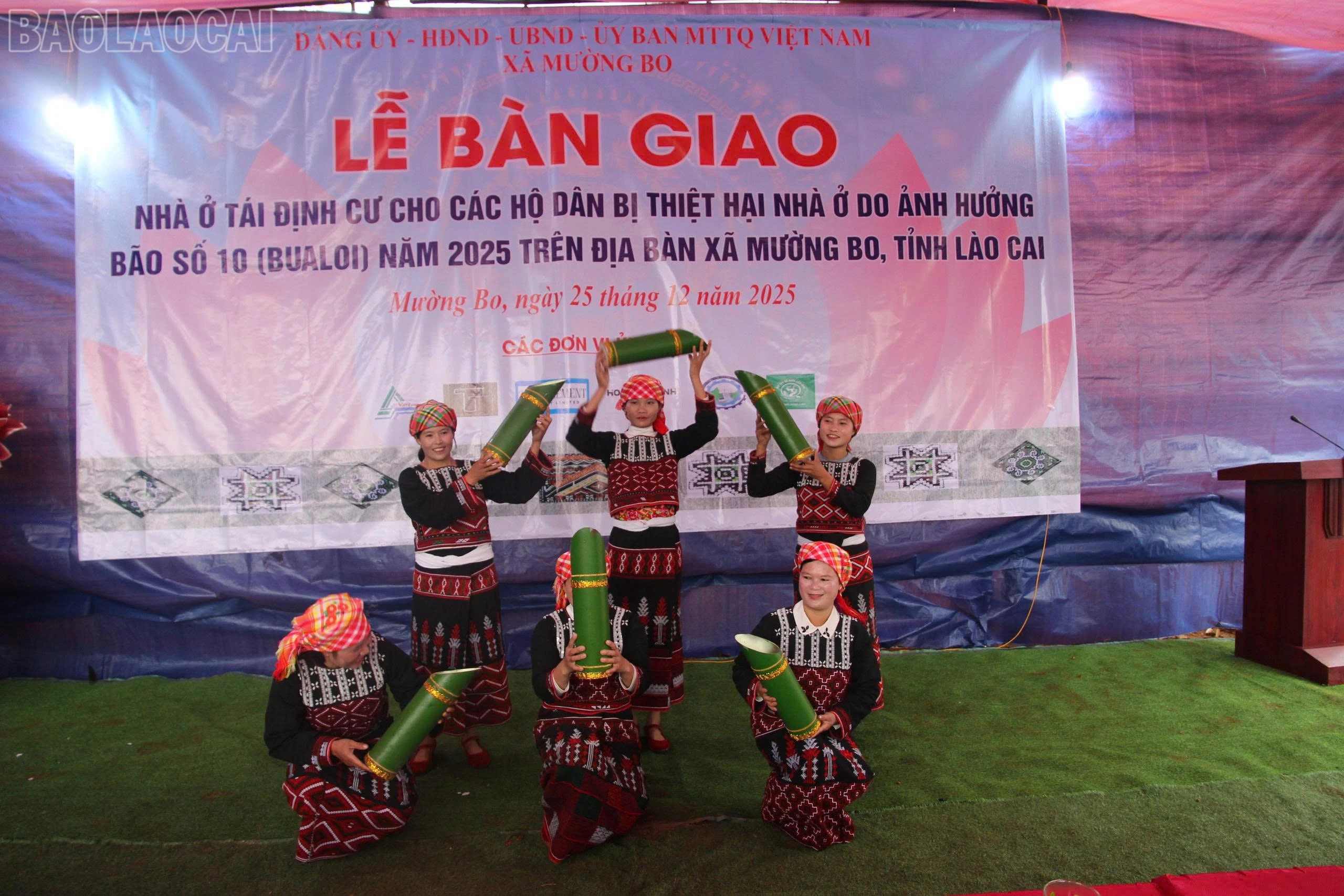 baolaocai-tl_65096e0c-f7b7-4ecd-95f7-2e58bb3599a3.jpg