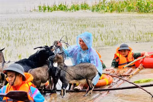 [Ảnh] Những hình ảnh đẹp của lực lượng chức năng giúp người dân vùng lũ