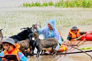 [Ảnh] Những hình ảnh đẹp của lực lượng chức năng giúp người dân vùng lũ