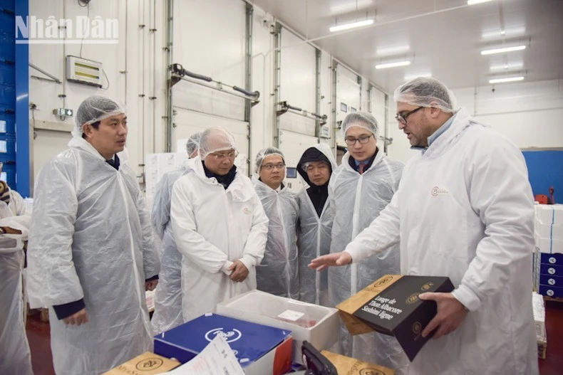 Các sản phẩm cá ngừ đỏ của tập đoàn Barba có tiếng vang lớn trong lĩnh vực nhà hàng. (Ảnh: MINH DUY)