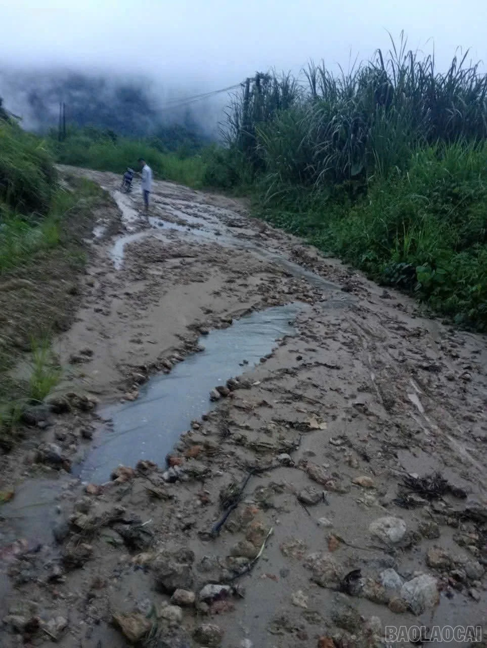 Tuyến đường Lâm Thượng đi xã Tân Phượng (cũ) bị xói mòn nghiêm trọng, cống thoát nước bị lũ cuốn trôi.
