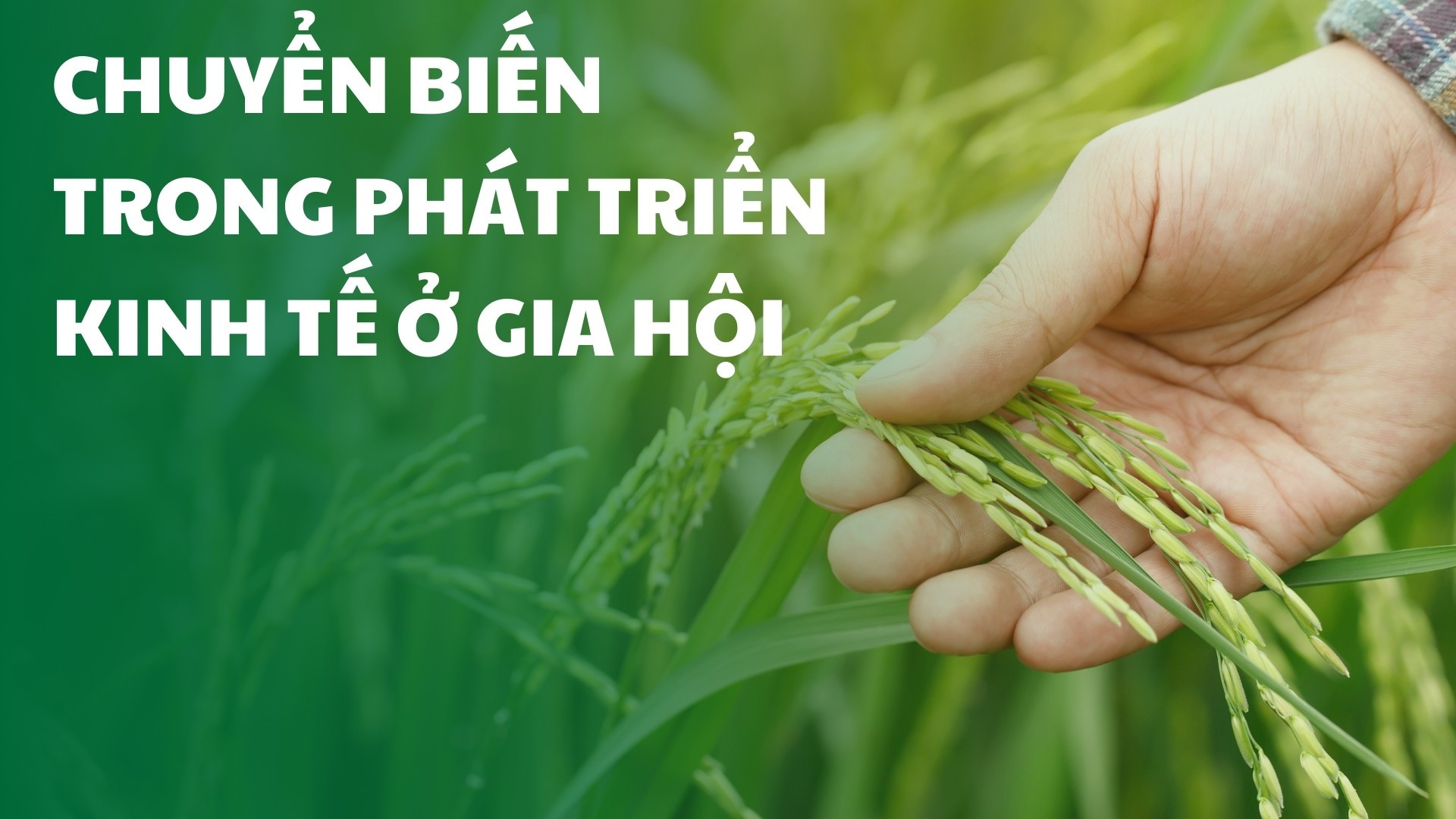 Chuyển biến trong phát triển kinh tế ở Gia Hội
