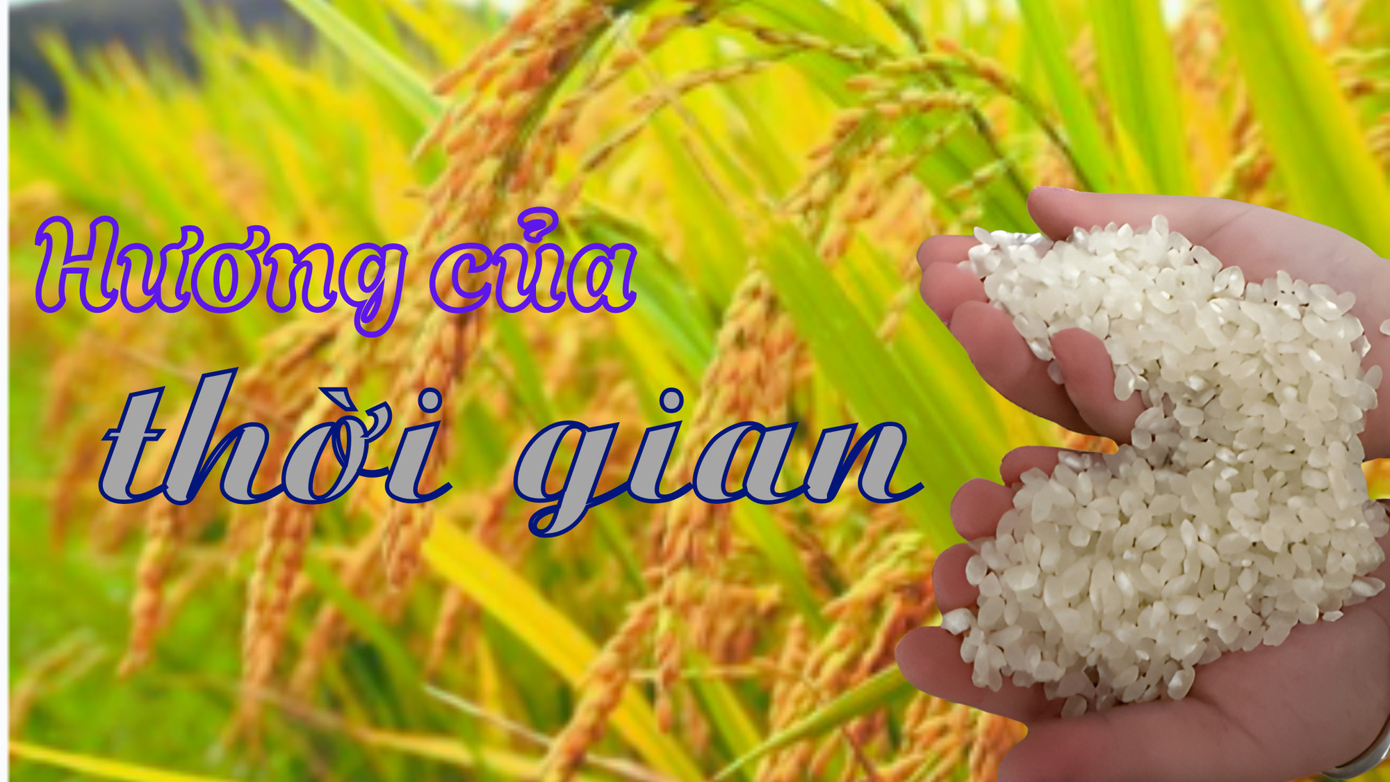 Hương của thời gian