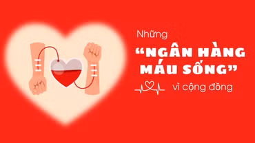 Những “ngân hàng máu sống” vì cộng đồng
