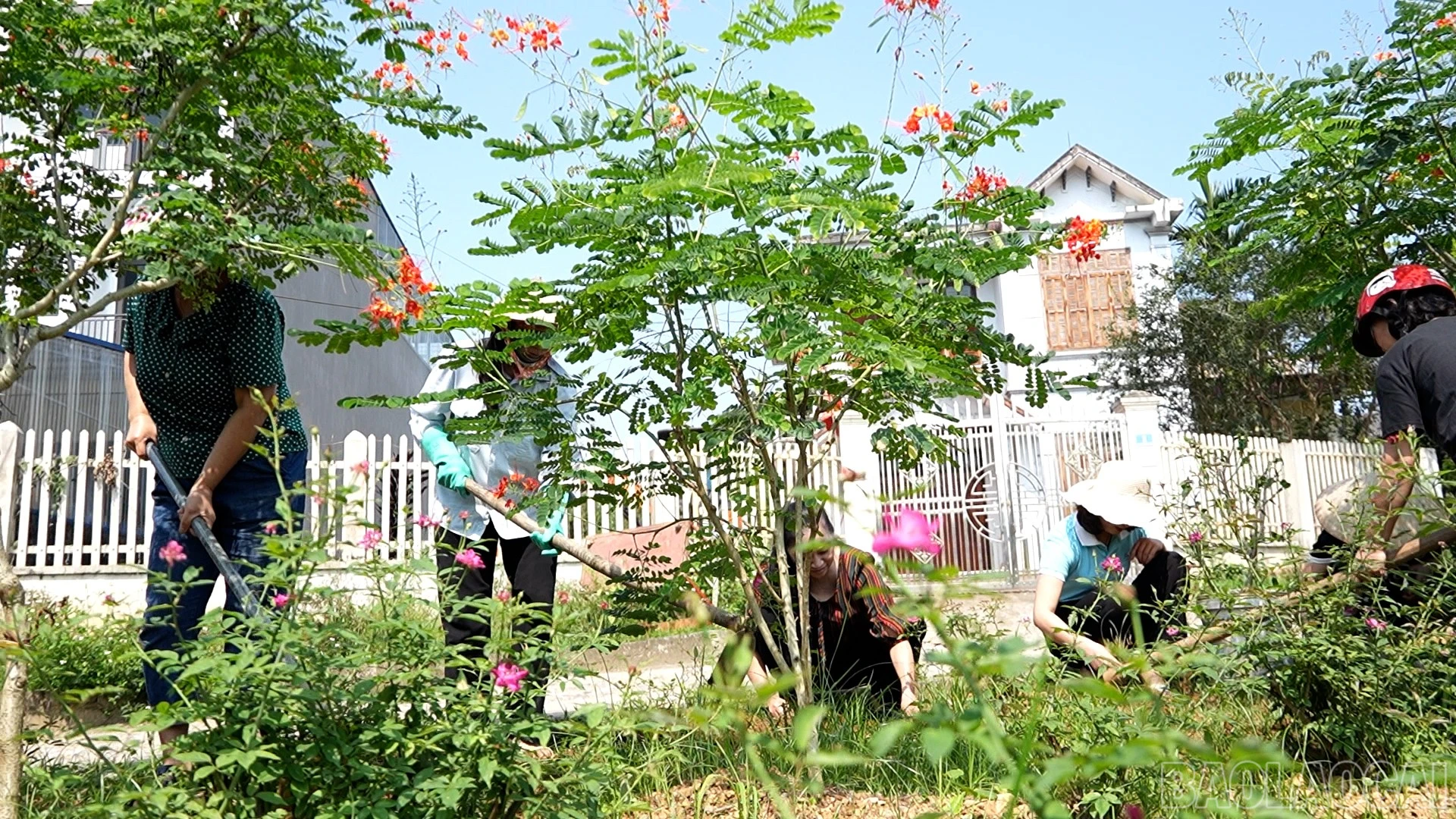 baolaocai-br_c20260505-976000-07-24-24still002.jpg