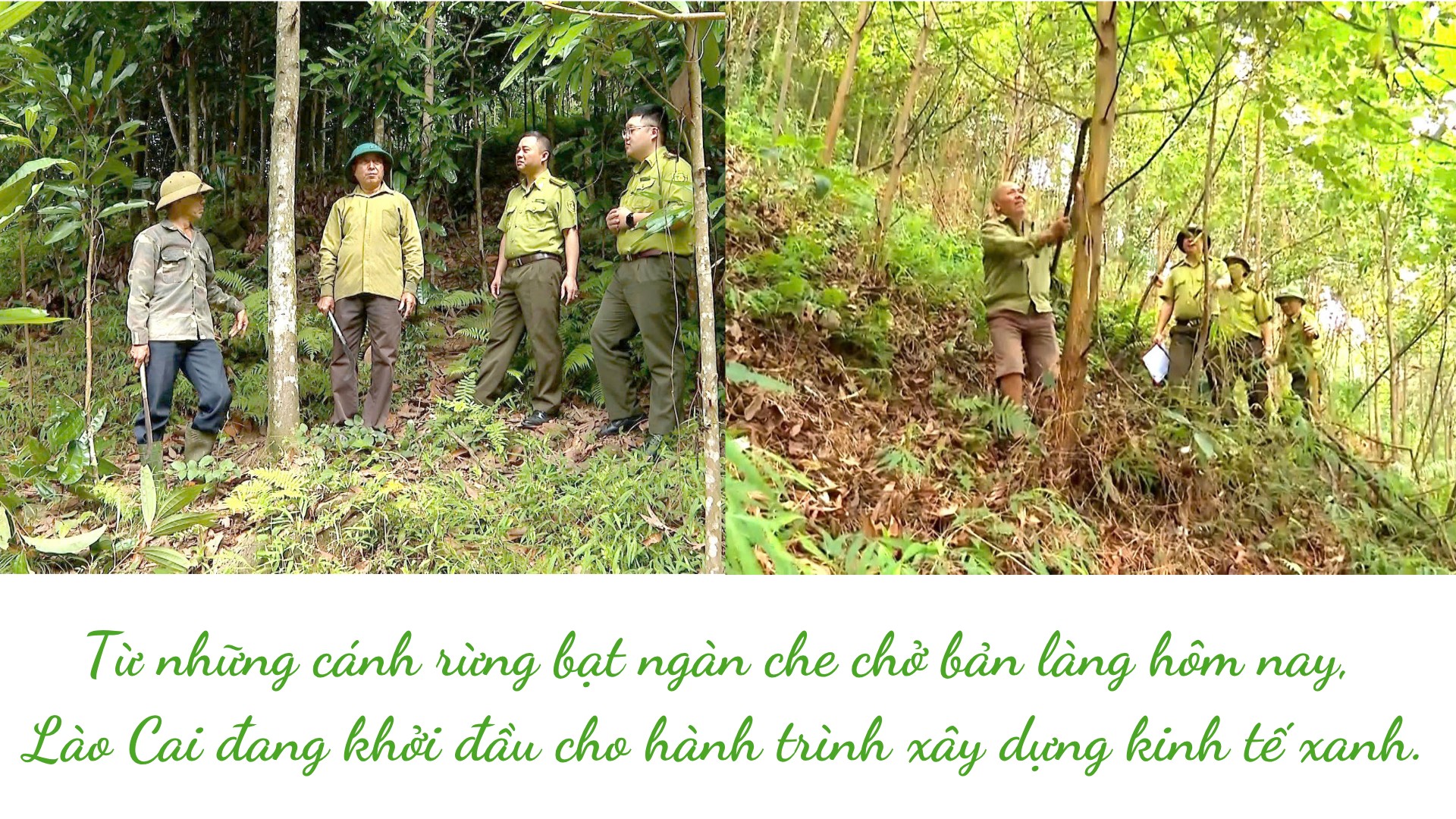 tu-nhung-canh-rung-bat-ngan-che-cho-ban-lang-hom-nay-lao-cai-dang-khoi-dau-cho-hanh-trinh-xay-dung-kinh-te-xanh.png