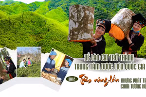 Bài 2: Tiềm năng lớn nhưng phát triển chưa tương xứng