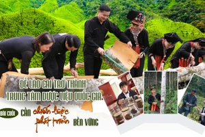 Bài cuối: Cần chiến lược phát triển bền vững