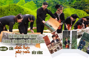 Bài cuối: Cần chiến lược phát triển bền vững